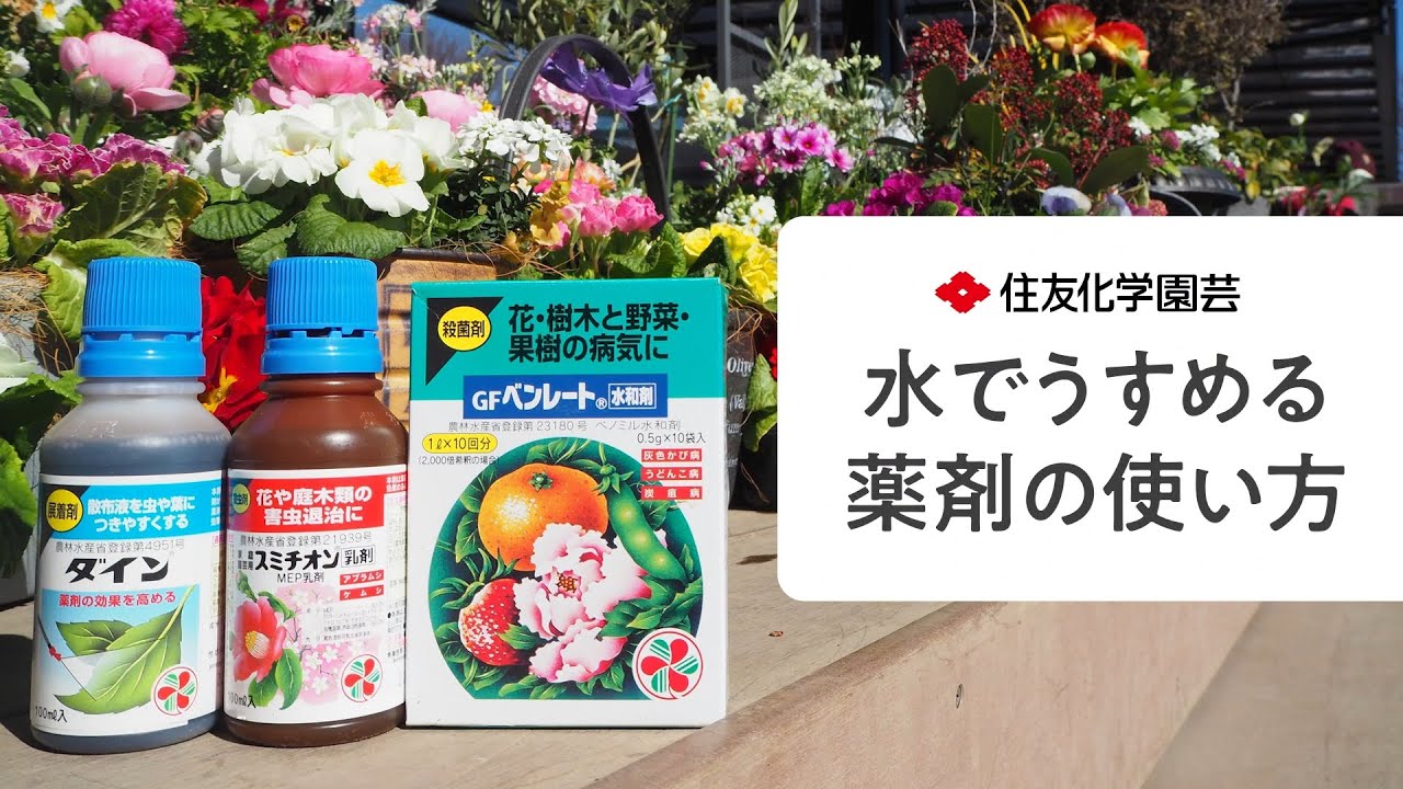 GFターンアウト液剤|ススキ・スギナなどのしつこい雑草の根まで